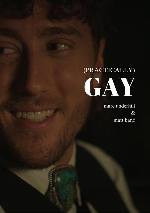 (Practically) Gay 2025 official movie poster
