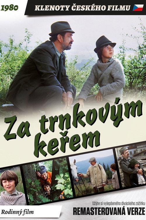 Behind the Sloe-Bush 1981 official movie poster