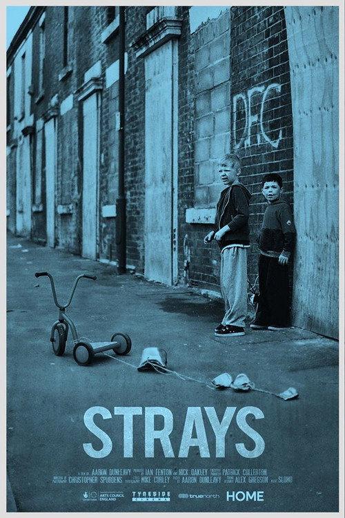 Strays 2017 official movie poster