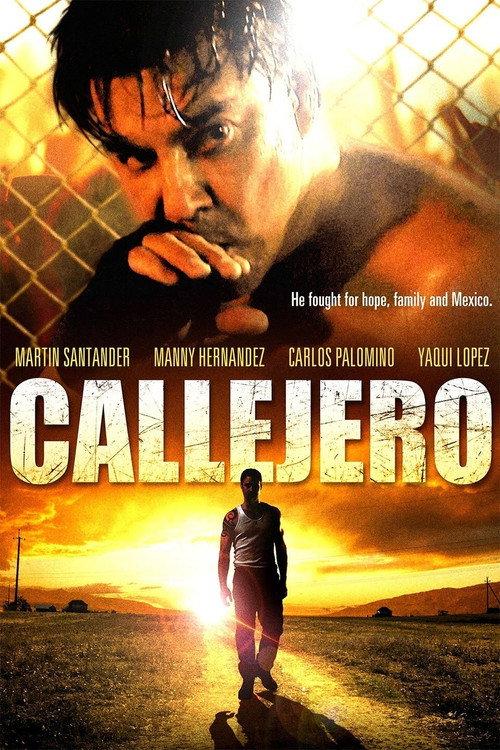 Callejero 2015 official movie poster