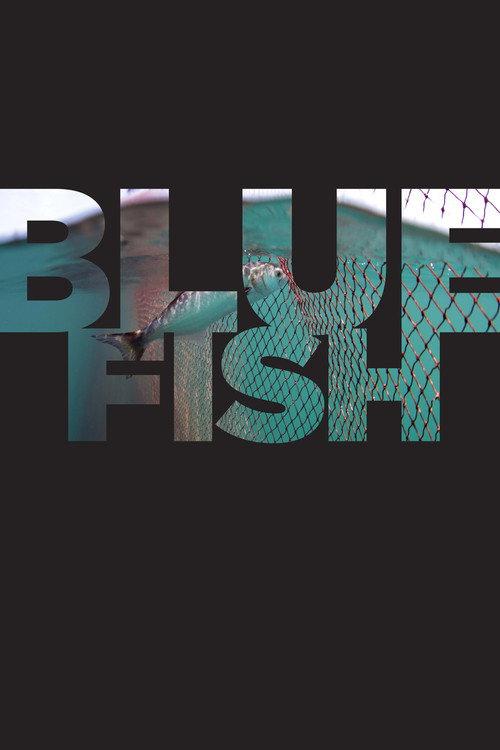 Bluefish 2017 official movie poster
