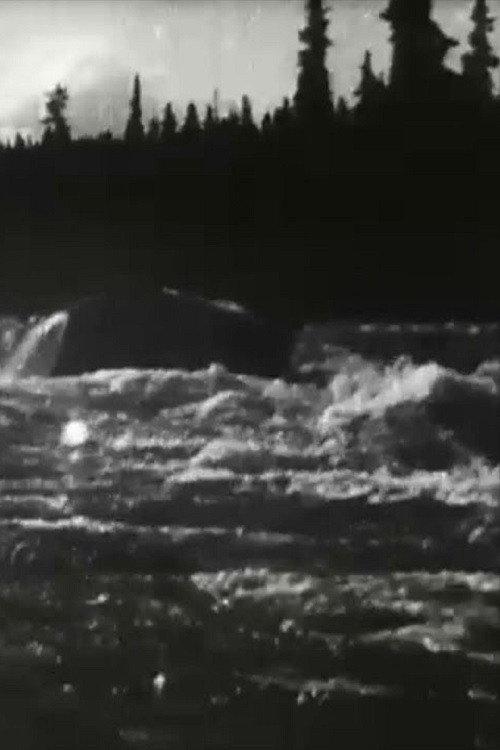 White Horse Rapids 1900 official movie poster