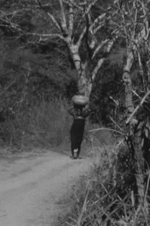 The Way to Nola's Farm  official movie poster