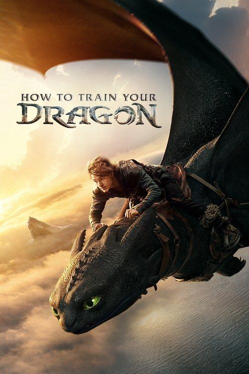 How to Train Your Dragon 2025 official movie poster