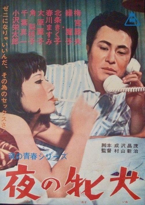 Night Bitch 1966 official movie poster