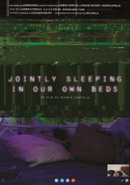 Jointly Sleeping in Our Own Beds 2017 official movie poster