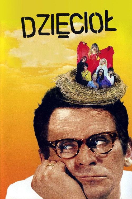 The Woodpecker 1971 official movie poster
