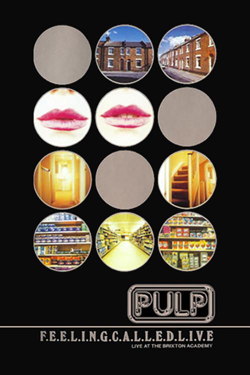 Pulp: F.E.E.L.I.N.G.C.A.L.L.E.D.L.I.V.E. 1995 official movie poster