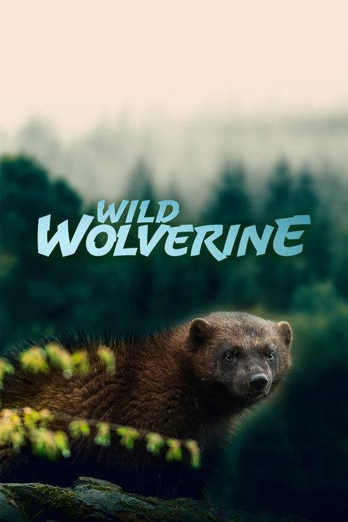 Wild Wolverine 2020 official movie poster