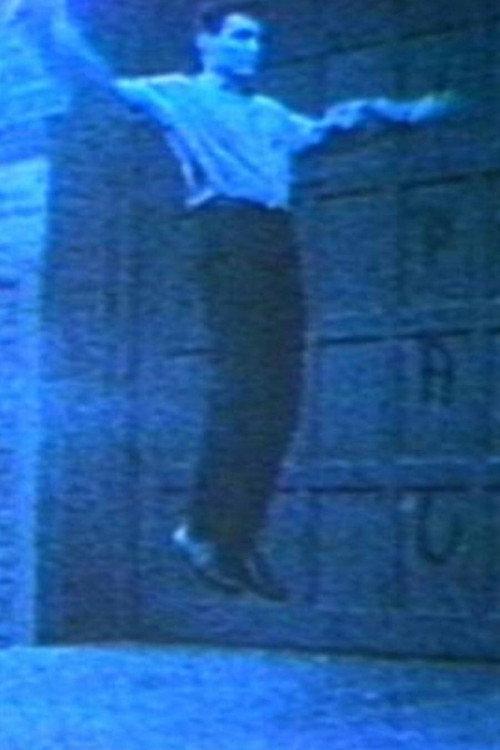 Vincent Gallo as Flying Christ 1981 official movie poster