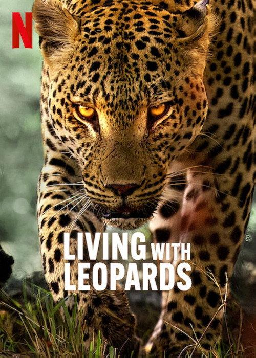 Living with Leopards 2024 official movie poster