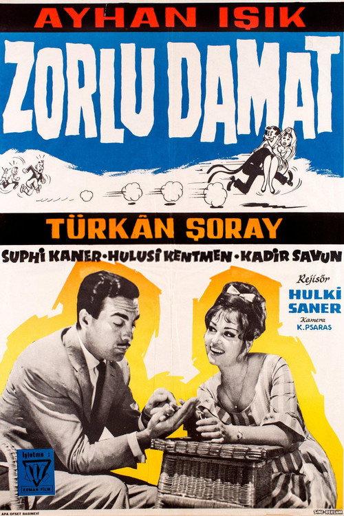 The Tough Groom 1962 official movie poster