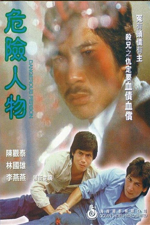 Dangerous Person 1981 official movie poster