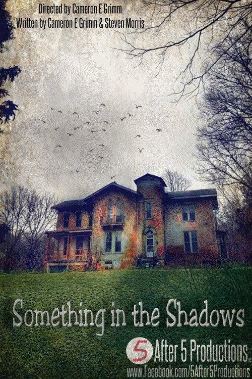 Something in the Shadows 2021 official movie poster
