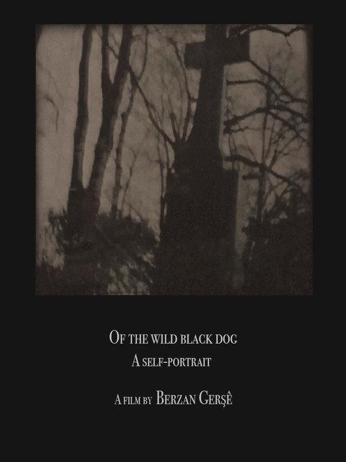 Of The Wild Black Dog 2020 official movie poster
