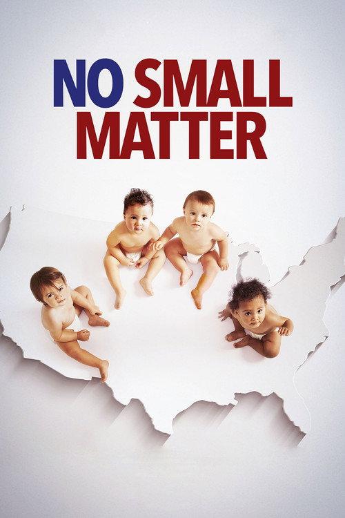 No Small Matter 2019 official movie poster