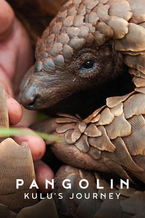 Pangolin: Kulu's Journey 2025 official movie poster