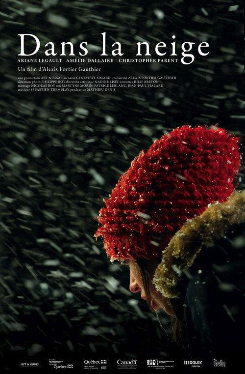 Snowbound 2011 official movie poster
