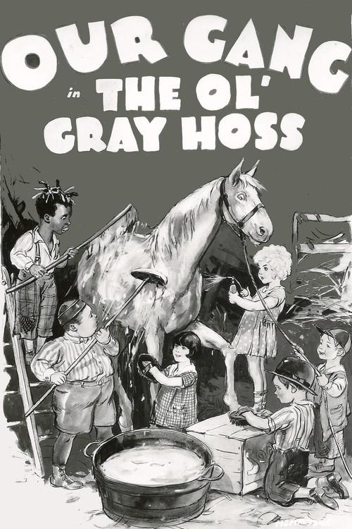 The Ol' Gray Hoss 1928 official movie poster