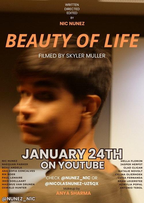 Beauty of Life 2025 official movie poster