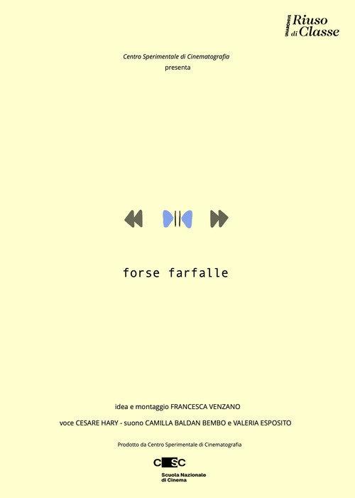 Forse farfalle 2026 official movie poster