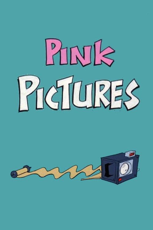 Pink Pictures 1978 official movie poster