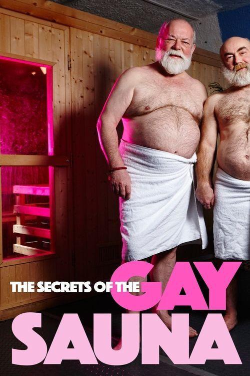 Secrets of the Gay Sauna 2016 official movie poster