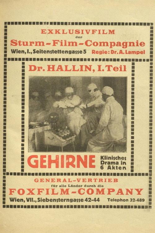 Dr. Hallin 1921 official movie poster