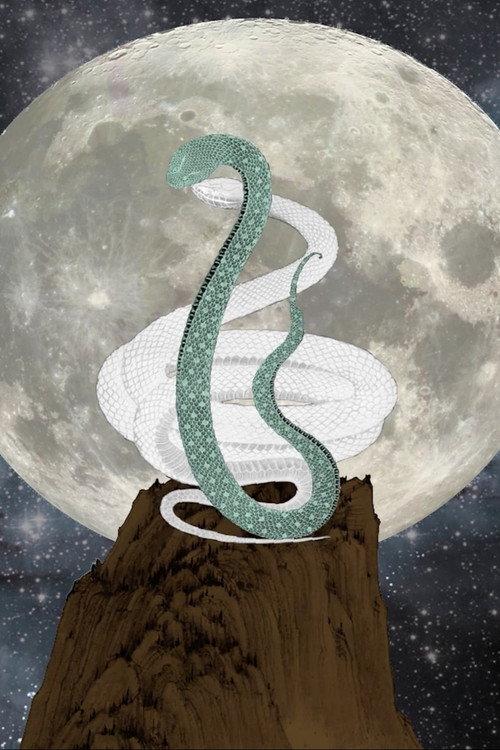 Two Snakes 2015 official movie poster