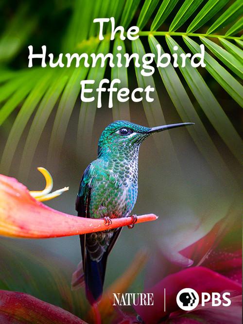 The Hummingbird Effect 2023 official movie poster