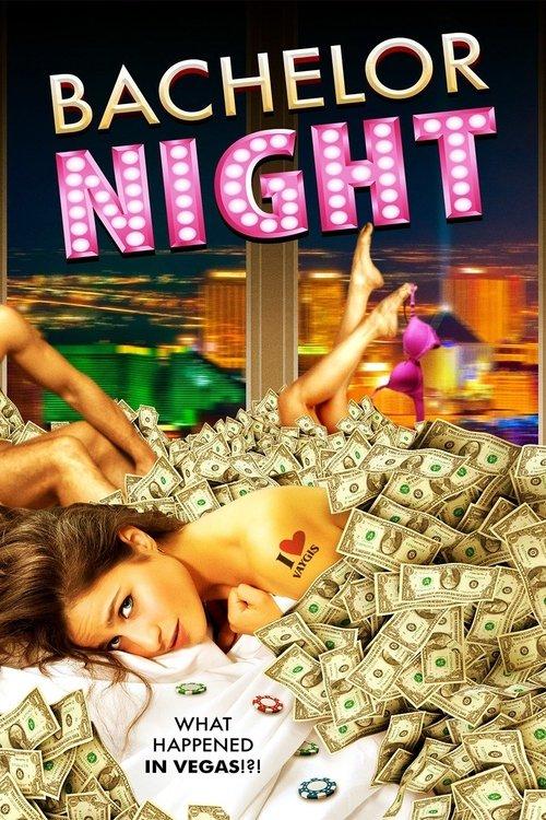Bachelor Night 2014 official movie poster