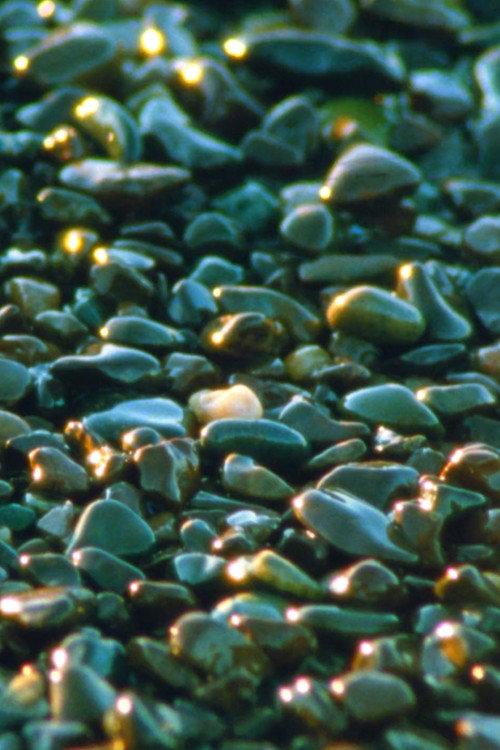 Jasper Beach and The Salt Marsh 2023 official movie poster