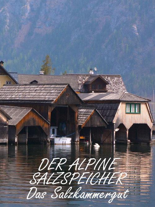 Der alpine Salzspeicher 2019 official movie poster