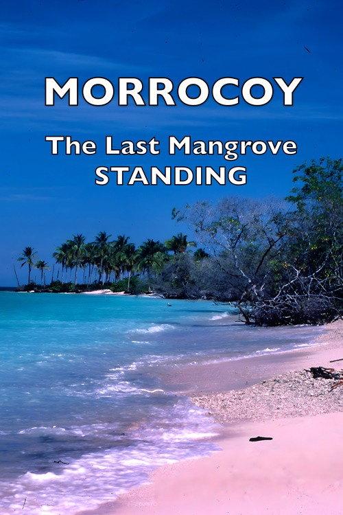 Morrocoy: The Last Mangrove Standing 2000 official movie poster