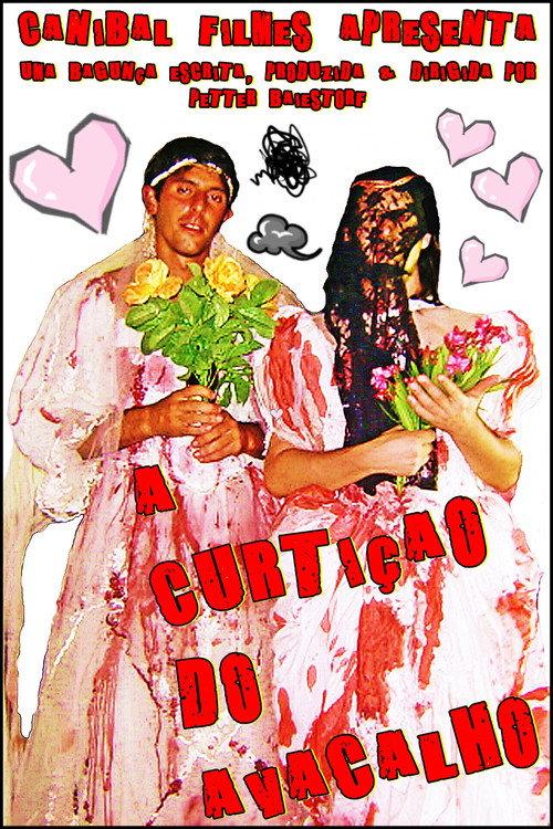 The Enjoyment of the Avacalho 2006 official movie poster