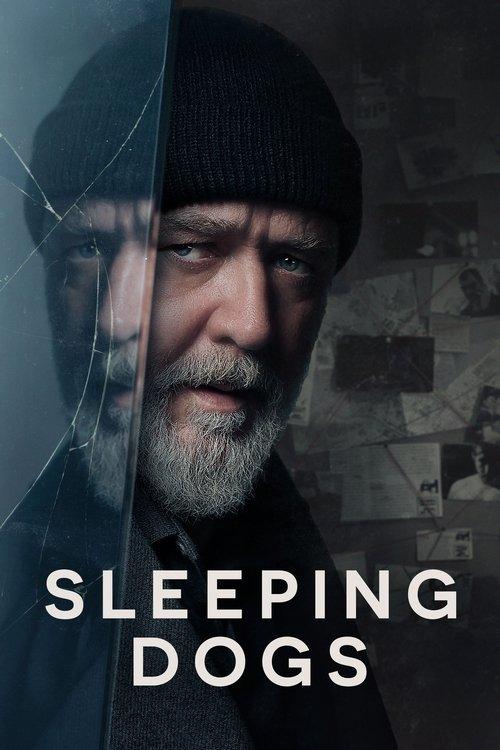 Sleeping Dogs 2024 official movie poster