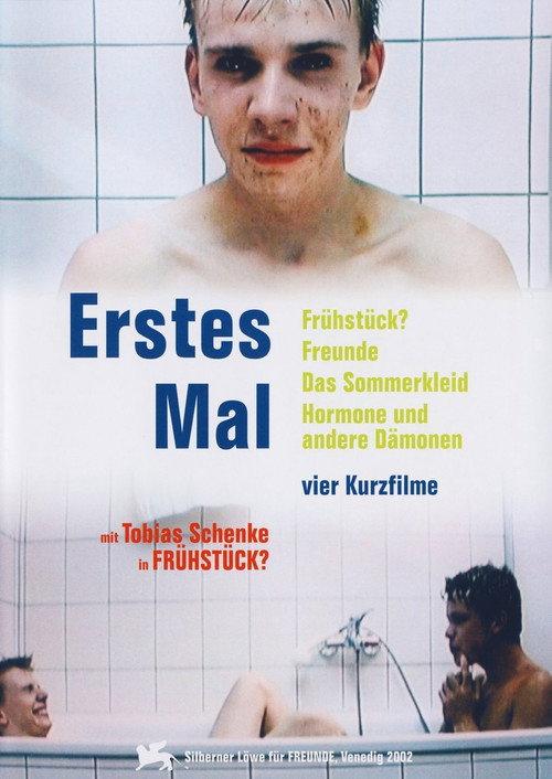 Erstes Mal - Schwule Kurzfilme 2002 official movie poster