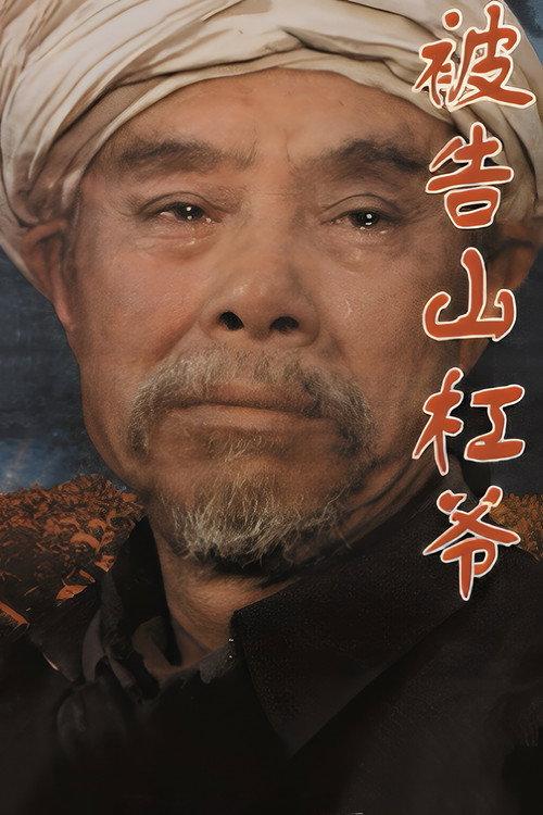 The Accused Uncle Shangang 1994 official movie poster