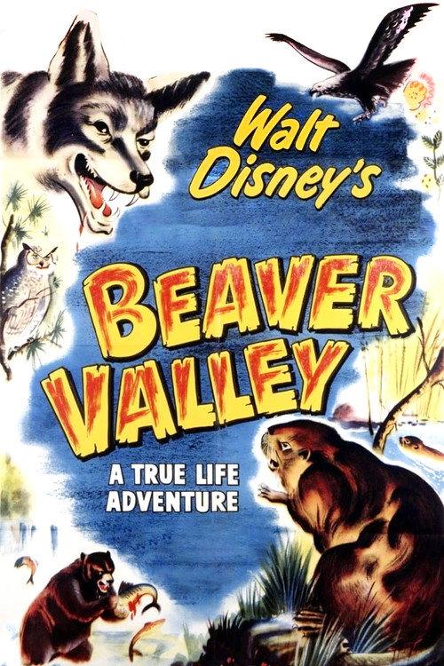 Beaver Valley 1950 official movie poster