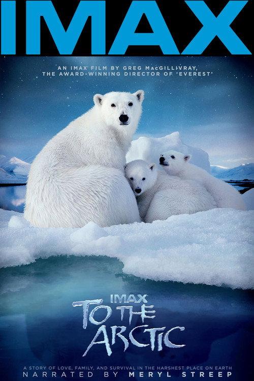To the Arctic 3D 2012 official movie poster