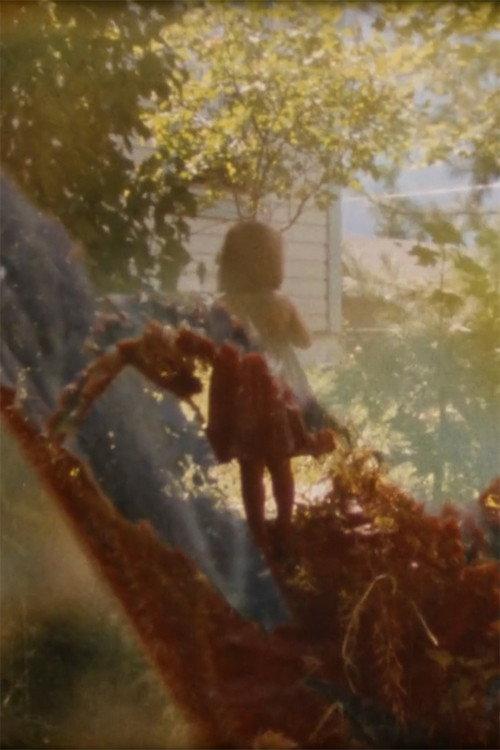 In the Backyarden 2015 official movie poster