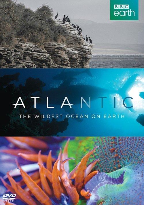 Atlantic: The Wildest Ocean on Earth 2015 official movie poster
