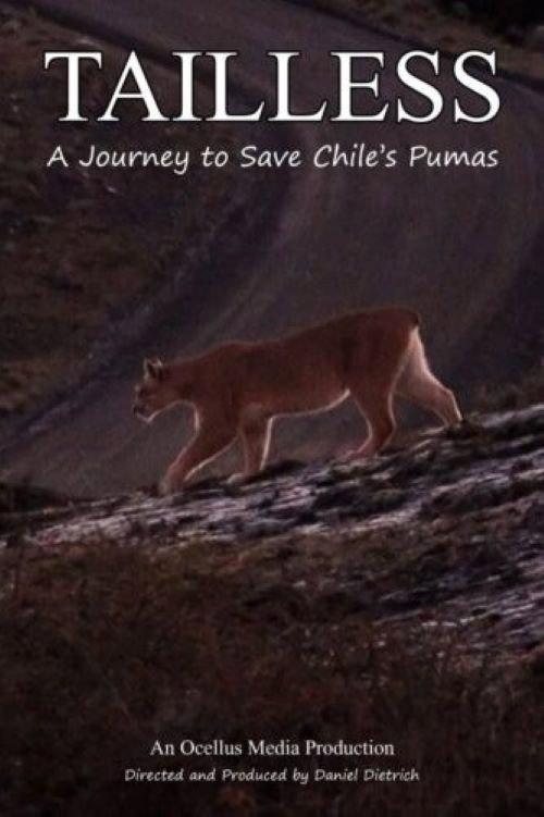 Tailless 2025 official movie poster