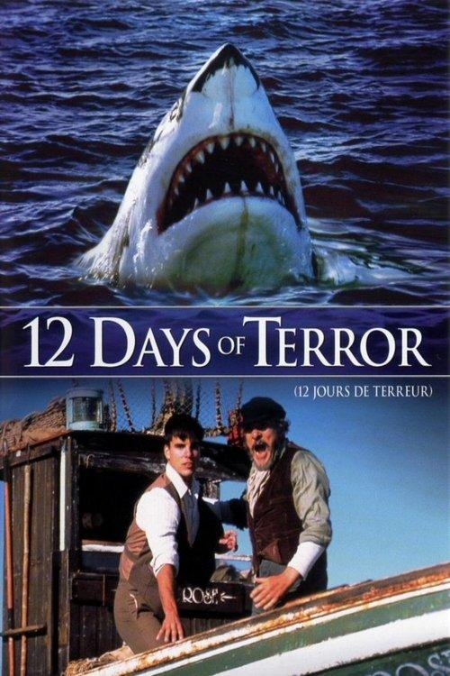 12 Days of Terror 2004 official movie poster