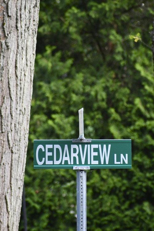 Cedarview 2024 official movie poster
