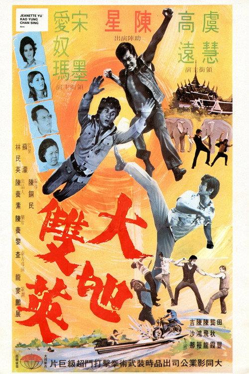 The Kung Fu Brothers 1973 official movie poster