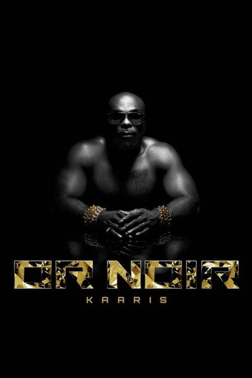 Kaaris Showcase au Palacio 2013 official movie poster