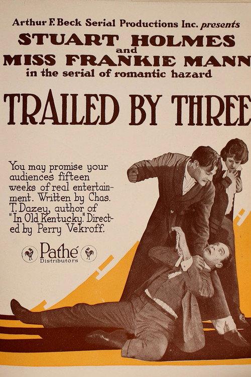Trailed by Three 1920 official movie poster