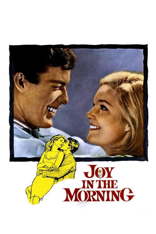 Joy in the Morning 1965 official movie poster