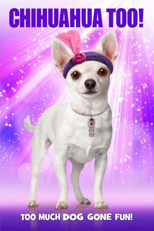 Chihuahua Too! 2013 official movie poster